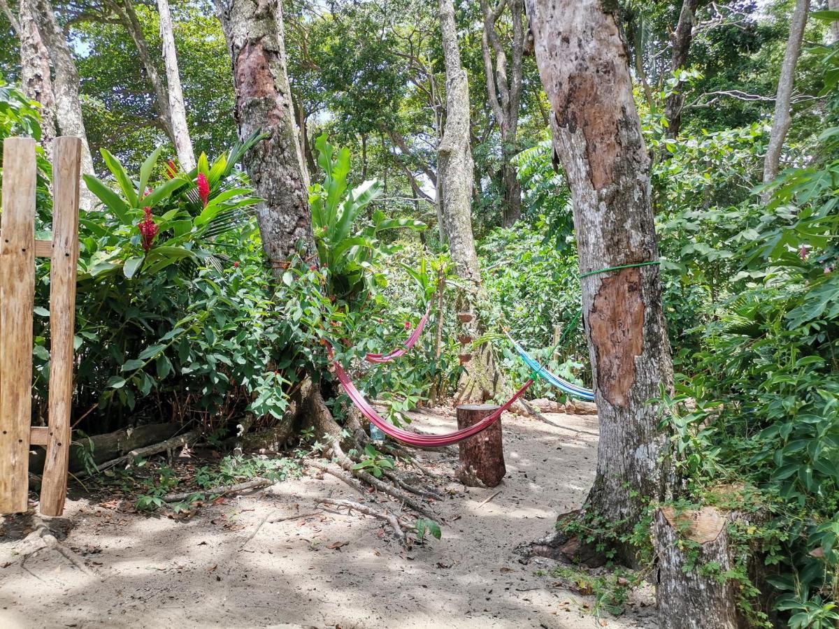 Oasis Beachfront Hostel Puerto Limon Luaran gambar